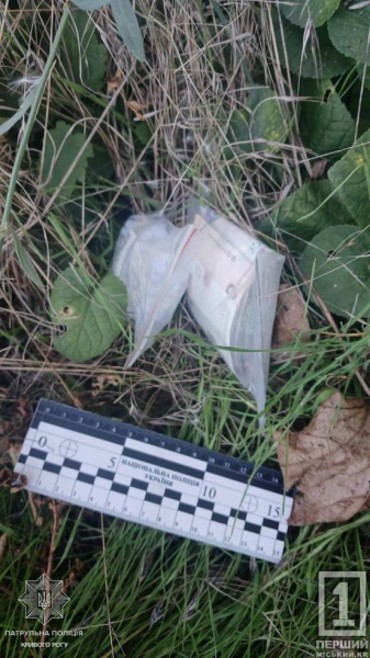 Зіп-пакет і 69 трубочок: у криворізькій лісосмузі поліція знайшла сховок з імовірними наркотиками
