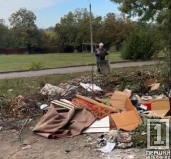 Звалюють непотріб повз баки: у Кривому Розі інспектори виявили чергові порушення благоустрою