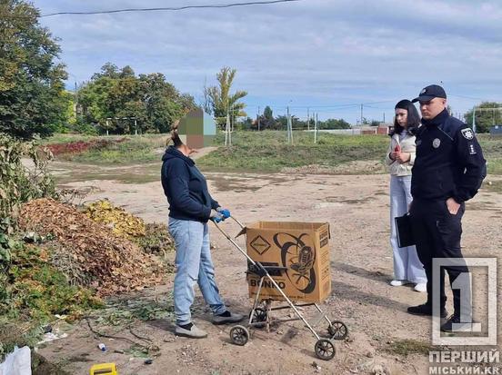 Звалюють непотріб повз баки: у Кривому Розі інспектори виявили чергові порушення благоустрою