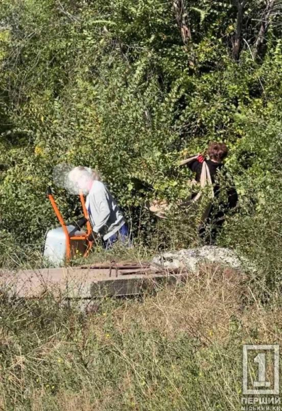 Звалюють непотріб повз баки: у Кривому Розі інспектори виявили чергові порушення благоустрою