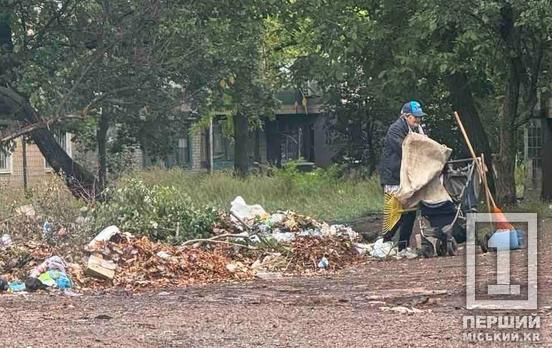 Звалюють непотріб повз баки: у Кривому Розі інспектори виявили чергові порушення благоустрою