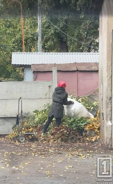 Звалюють непотріб повз баки: у Кривому Розі інспектори виявили чергові порушення благоустрою
